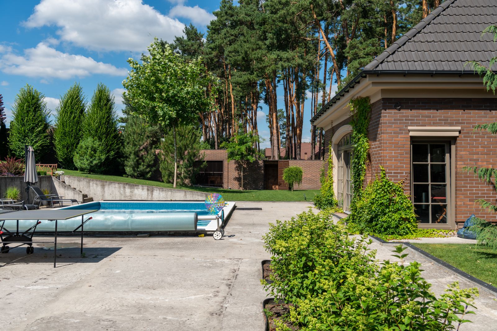 Dive In — Curdes Pools